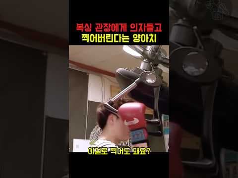눈빛으로만 양아치를 제압하는 복싱 관장